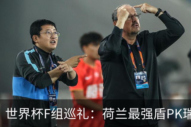 世界杯F组巡礼：荷兰最强盾PK瑞典犀利刀 日本短板明显